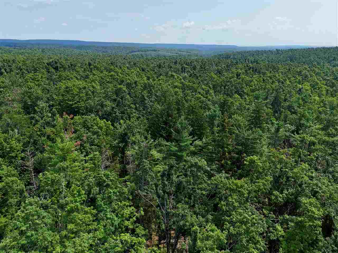 000 Magee Boyne Falls MI 49713