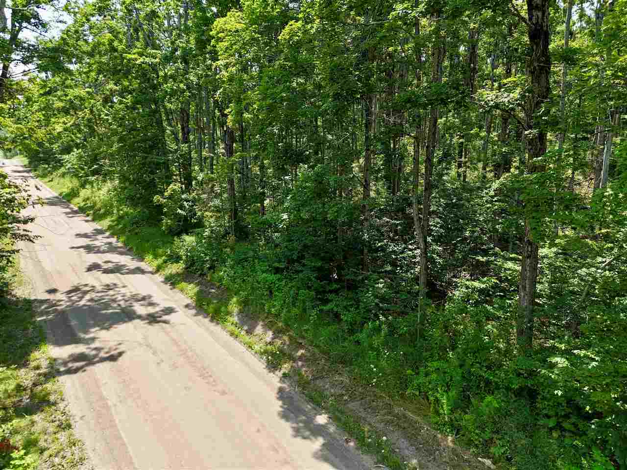 000 Magee Boyne Falls MI 49713