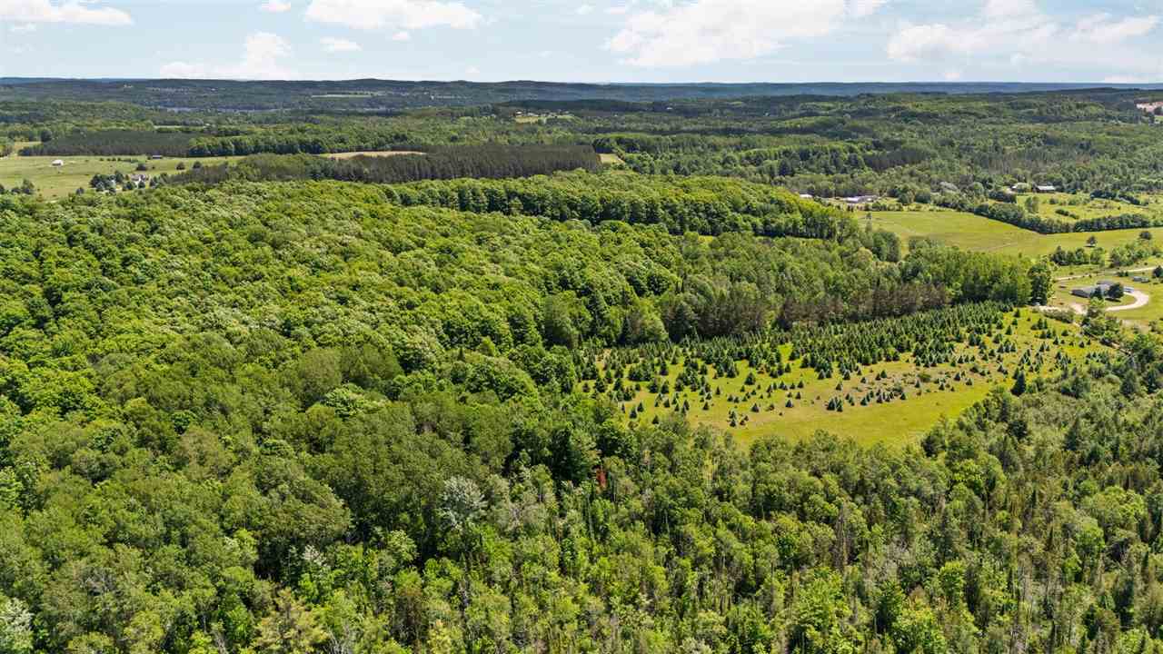 Tbd Detour Ellsworth MI 49729