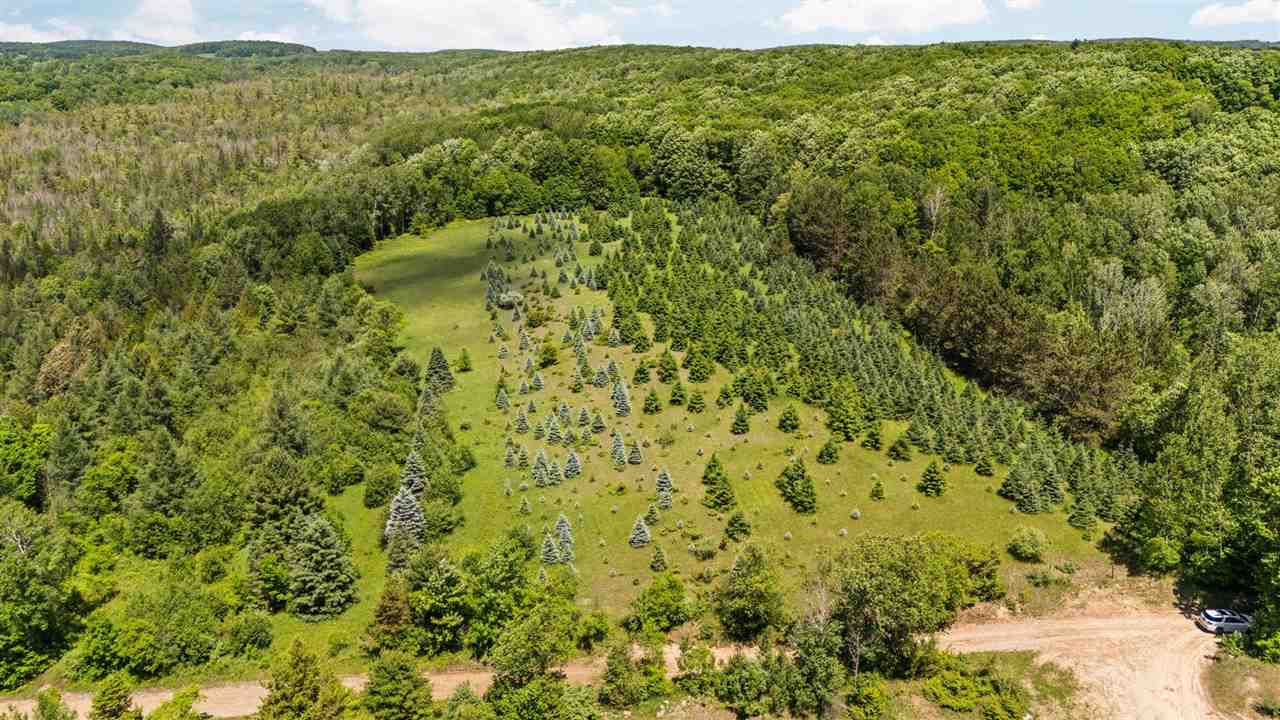 Tbd Detour Ellsworth MI 49729