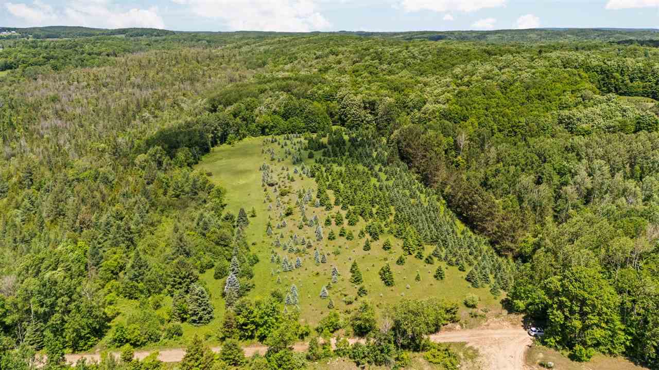 Tbd Detour Ellsworth MI 49729
