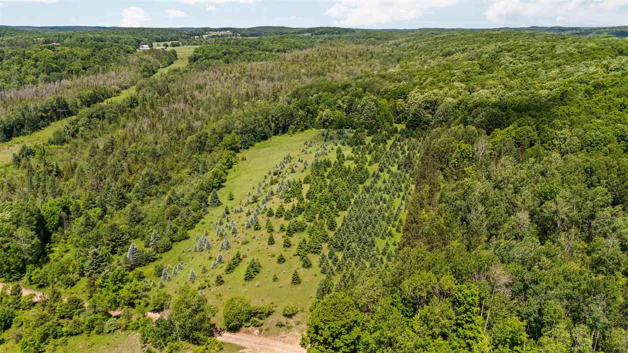Tbd Detour Ellsworth MI 49729