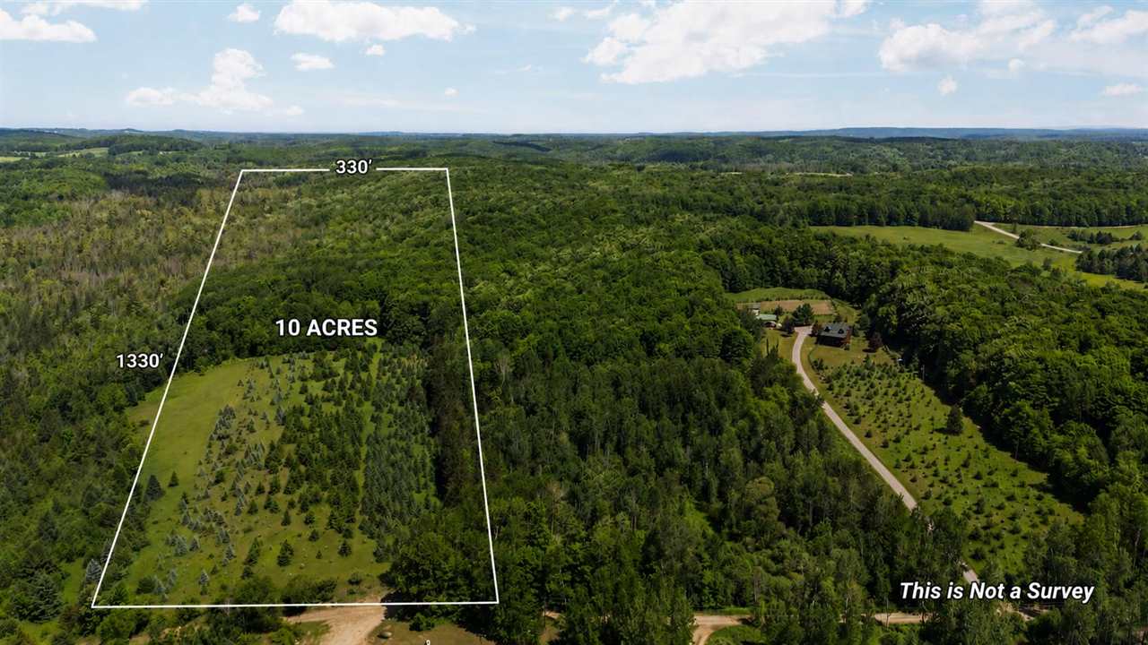 Tbd Detour Ellsworth MI 49729