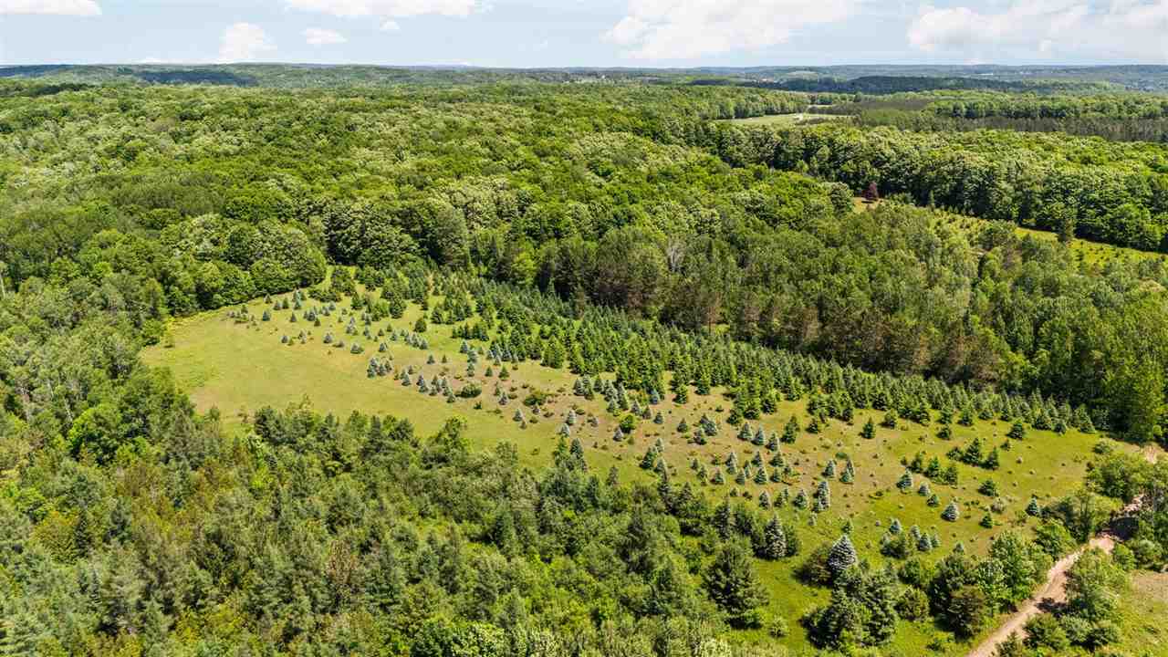 Tbd Detour Ellsworth MI 49729