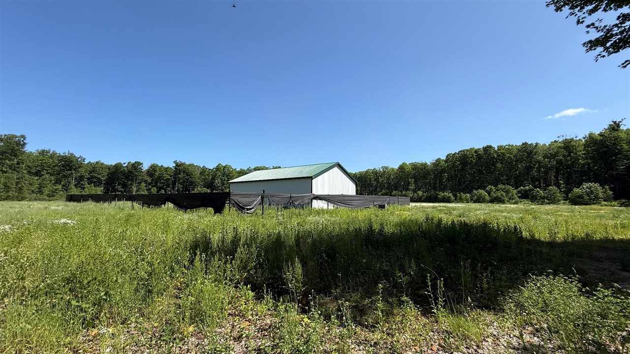 4035 Maple Way Trail Mancelona MI 49659