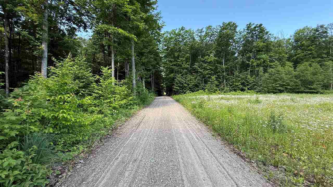 4035 Maple Way Trail Mancelona MI 49659