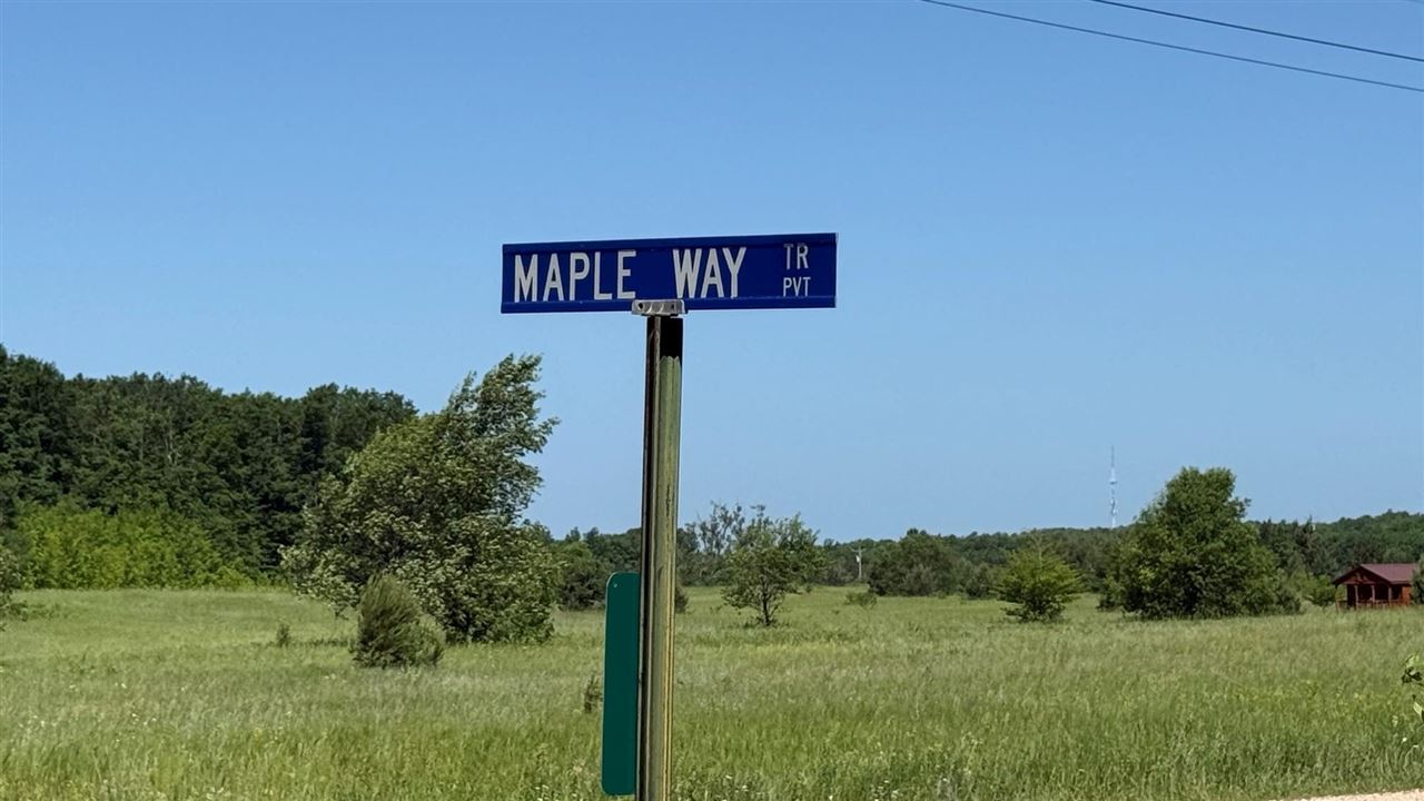 4035 Maple Way Trail Mancelona MI 49659