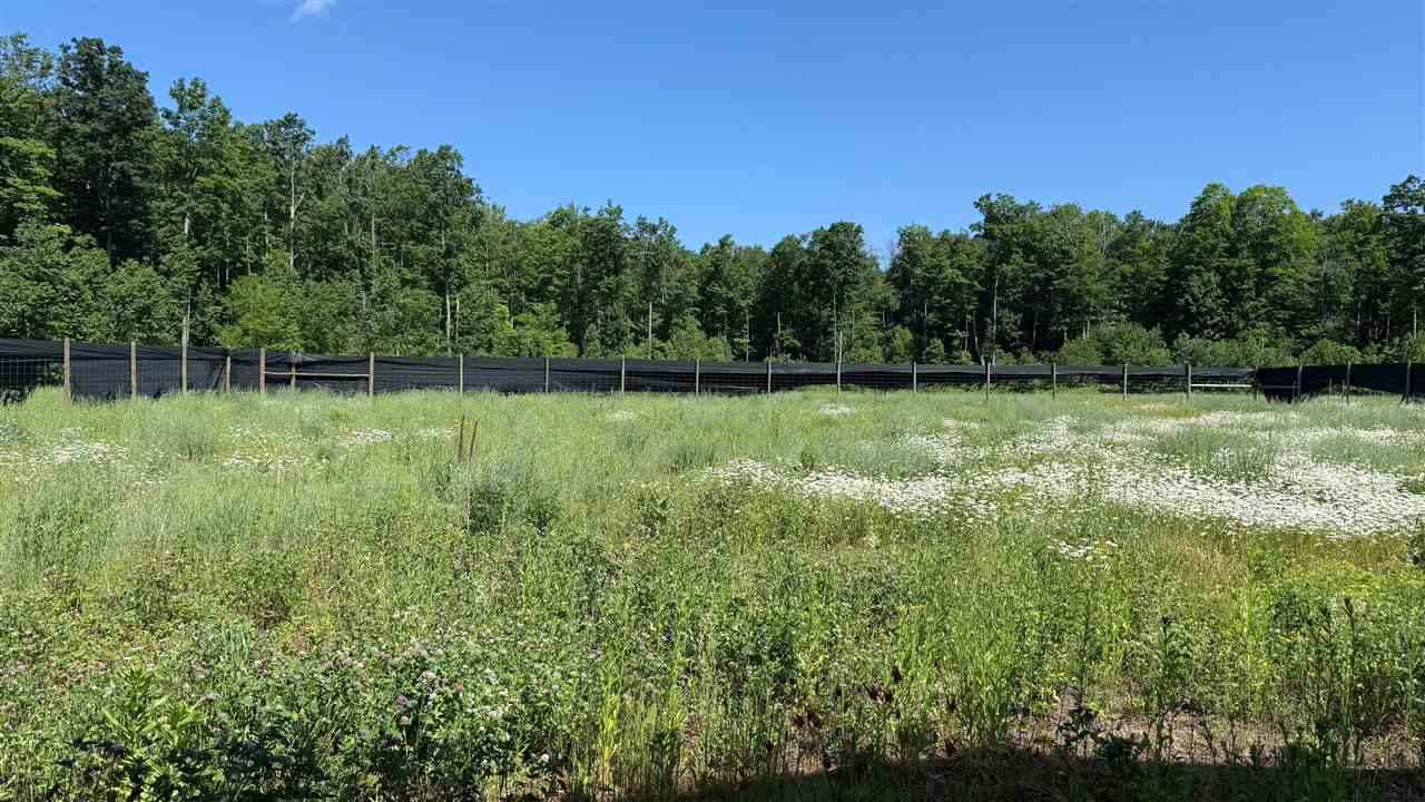 4035 Maple Way Trail Mancelona MI 49659