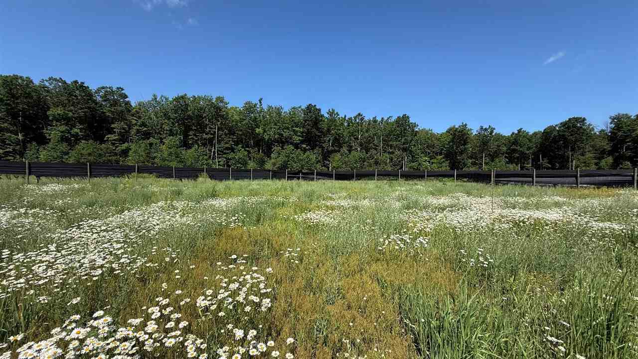 4035 Maple Way Trail Mancelona MI 49659