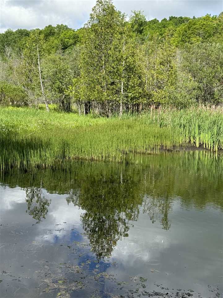 Corner Of Belmer / Rustic Roads Petoskey MI 49770