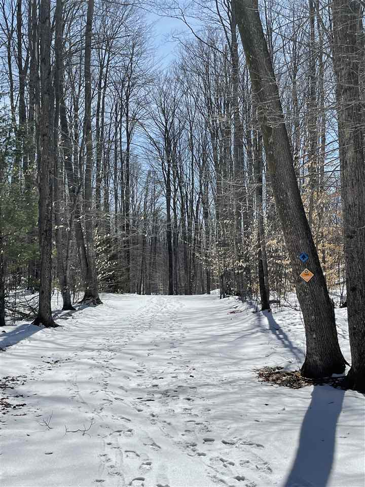 328 Pleasant Ridge Drive Harbor Springs MI 49740