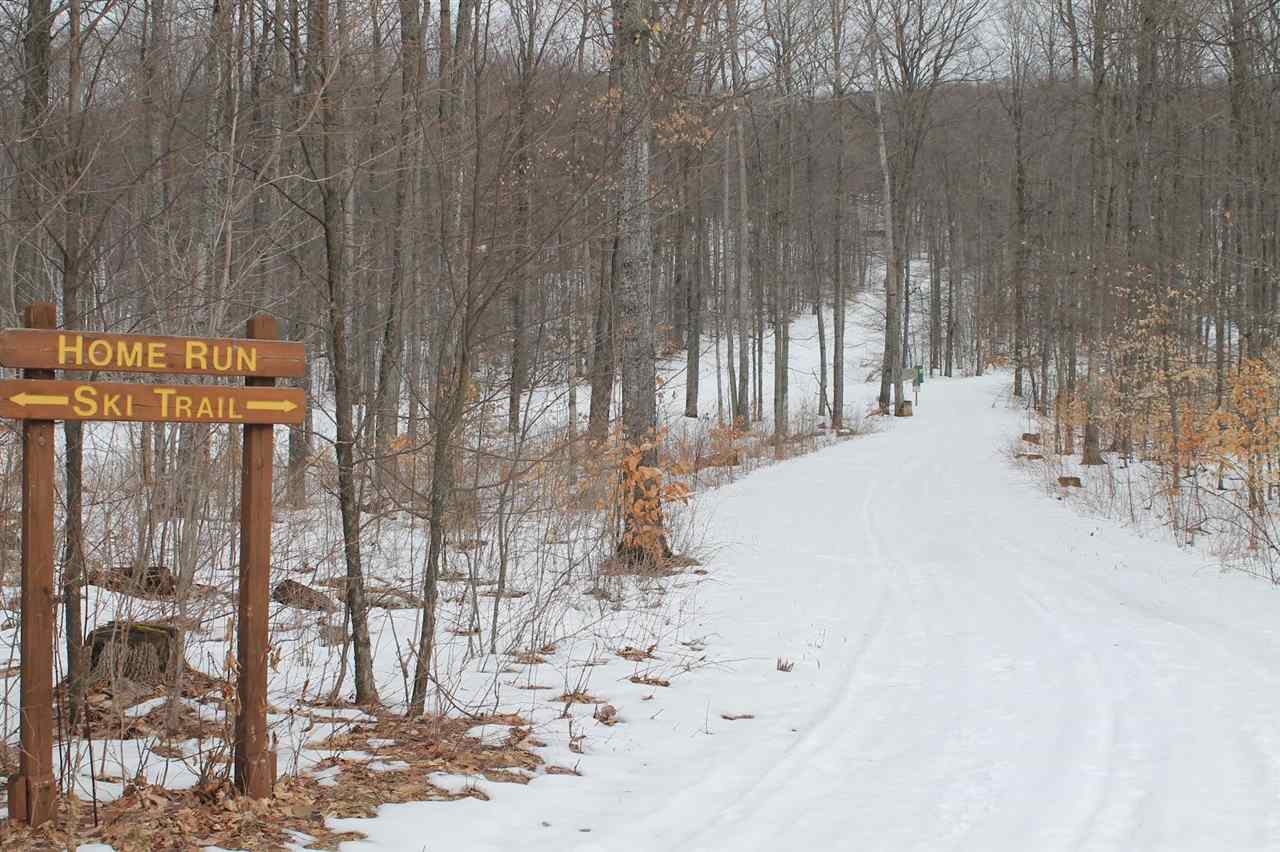 328 Pleasant Ridge Drive Harbor Springs MI 49740