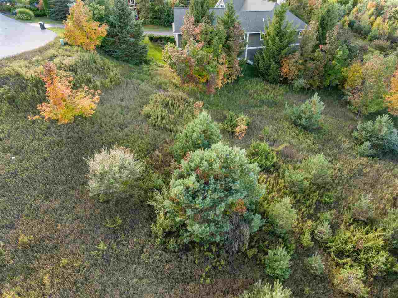 723 Harbor View Lane Petoskey MI 49770
