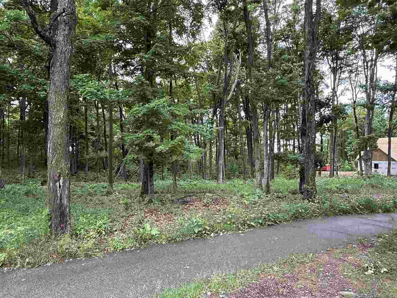 Tbd St Andrews Point Boyne Falls MI 49712