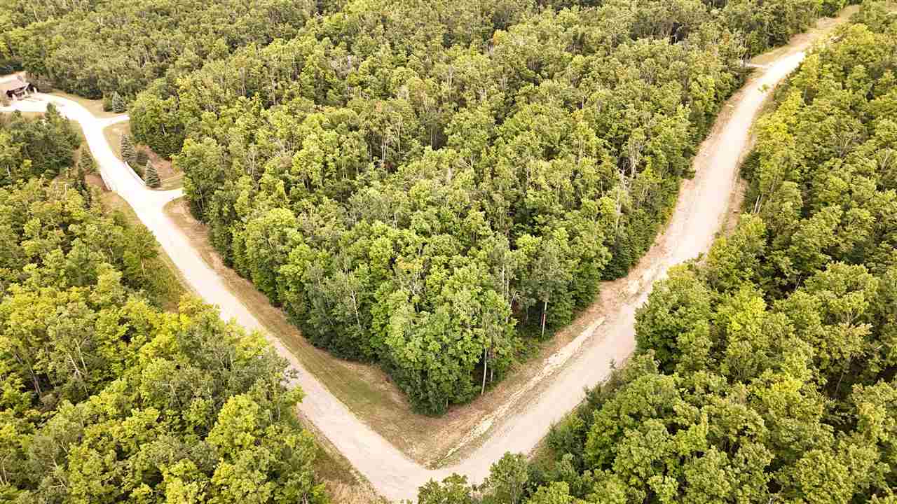 Unit 60 6129 Ridge Drive Harbor Springs MI 49740