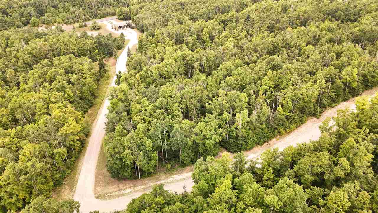 Unit 60 6129 Ridge Drive Harbor Springs MI 49740