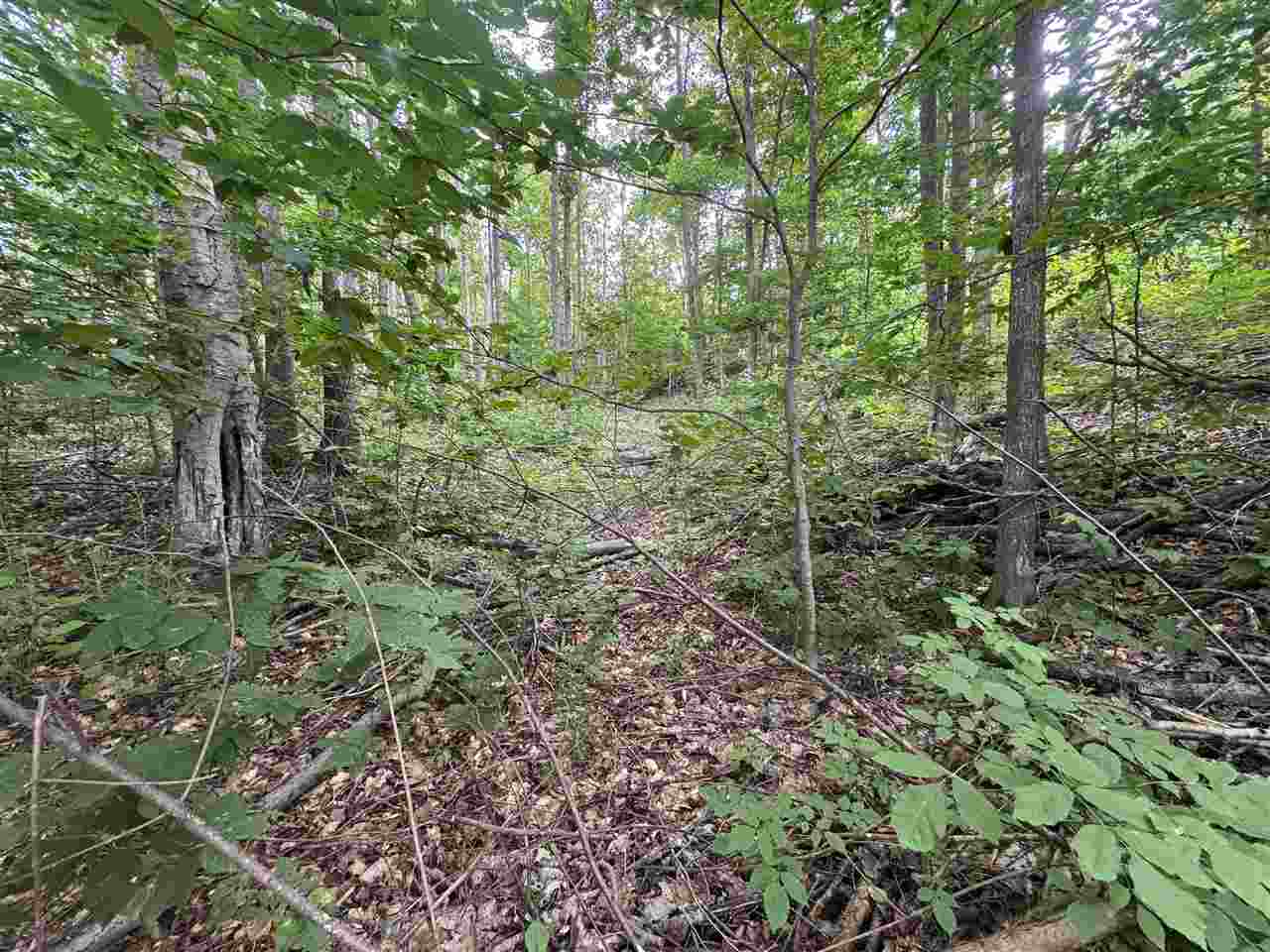 Unit 60 6129 Ridge Drive Harbor Springs MI 49740