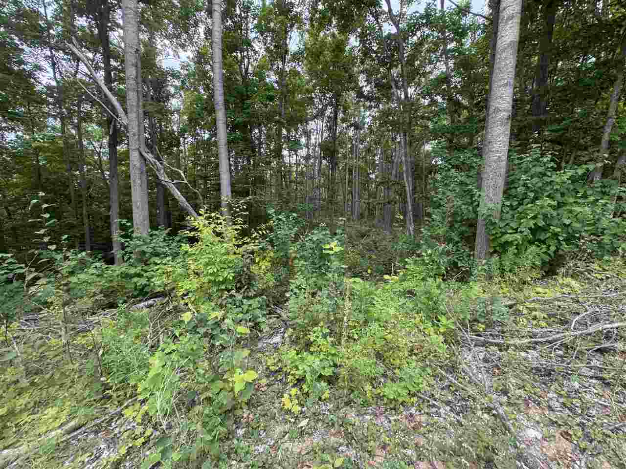 Unit 60 6129 Ridge Drive Harbor Springs MI 49740