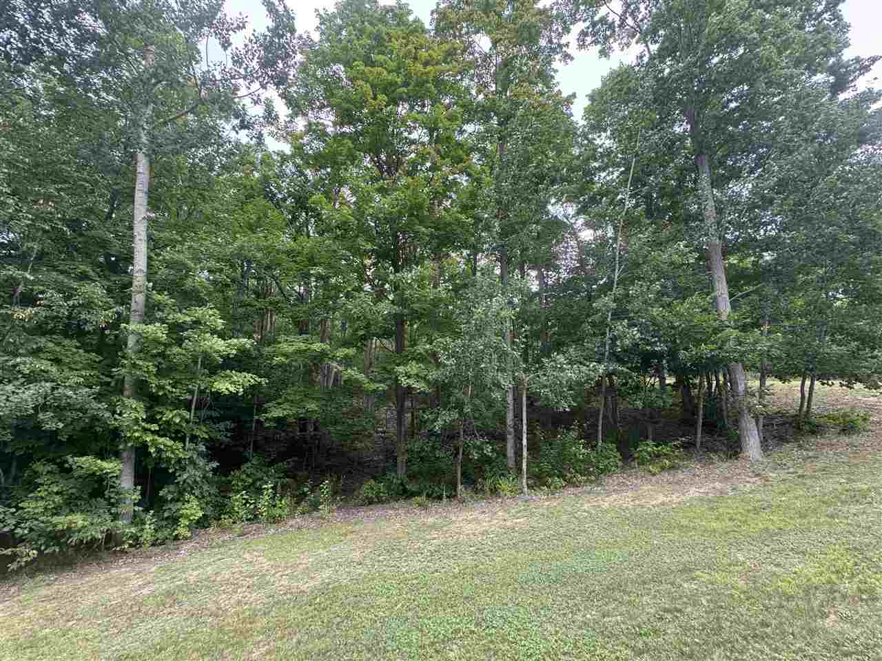 Unit 60 6129 Ridge Drive Harbor Springs MI 49740