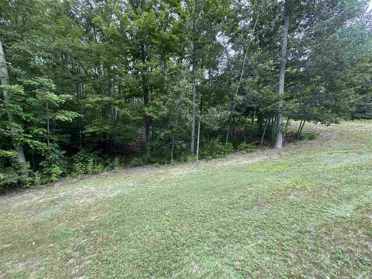 Unit 60 6129 Ridge Drive Harbor Springs MI 49740