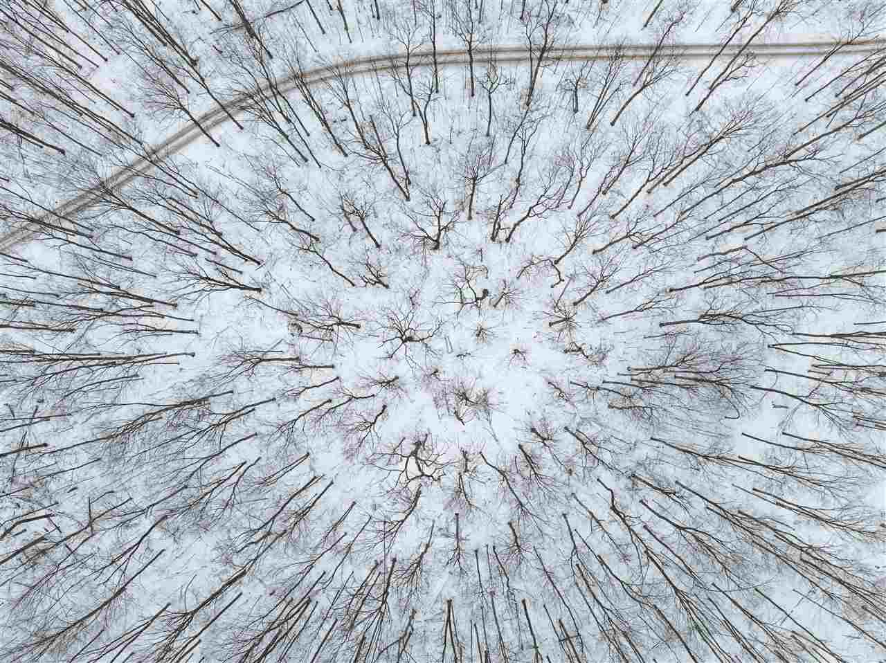 Lot 7 Connemara Boyne City MI 49712