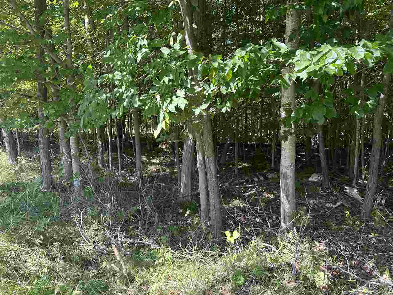 Lot 33,34,35 Bay Colony Kewadin MI 49648