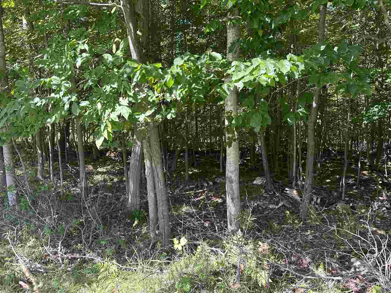 Lot 33,34,35 Bay Colony Kewadin MI 49648