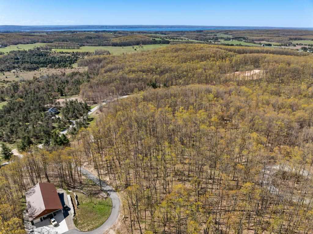 3298 Needles Drive Harbor Springs MI 49740