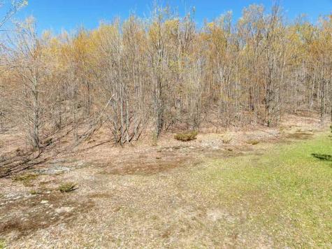 3298 Needles Drive Harbor Springs MI 49740