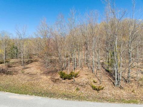 3298 Needles Drive Harbor Springs MI 49740