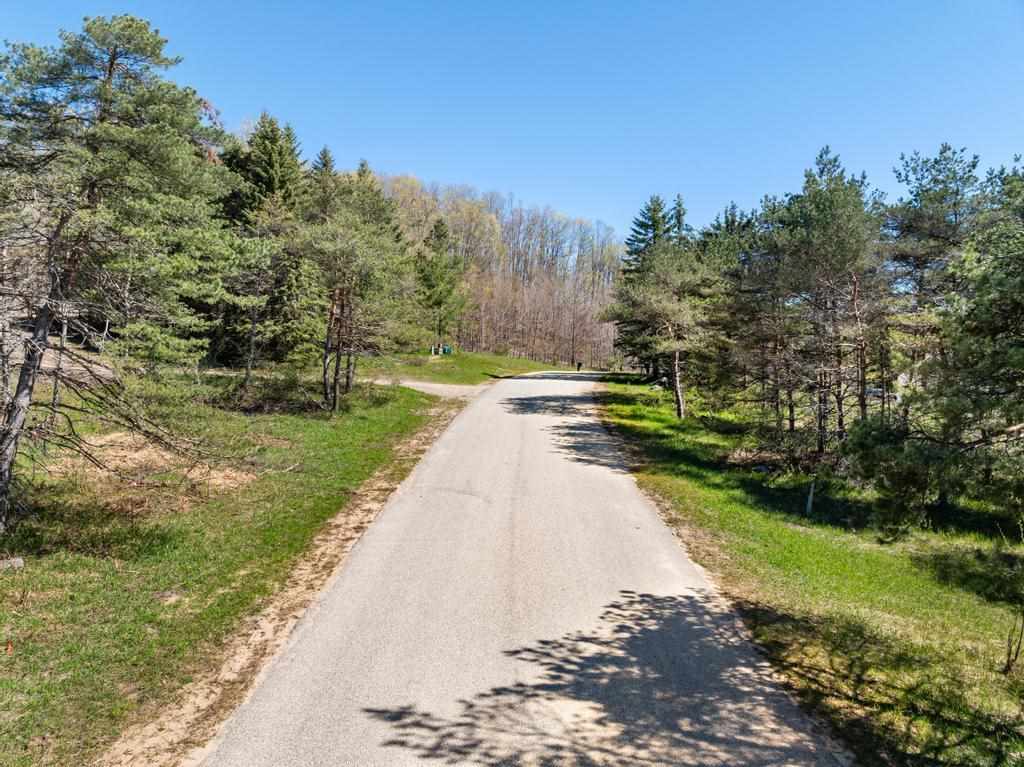 3298 Needles Drive Harbor Springs MI 49740