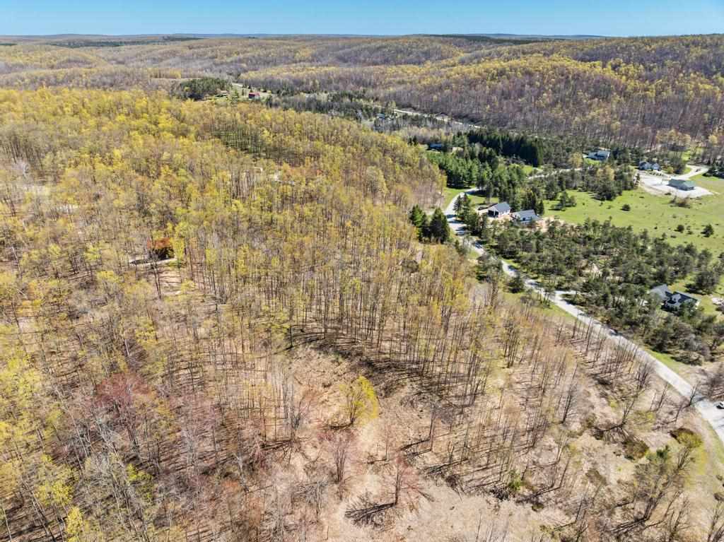 3298 Needles Drive Harbor Springs MI 49740