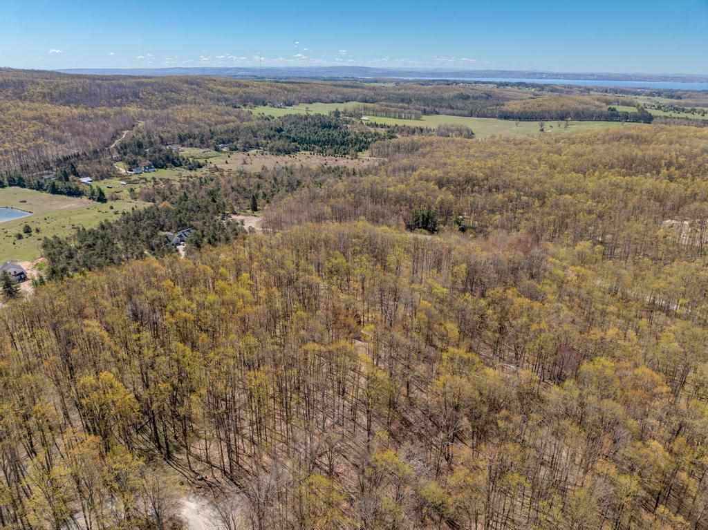 3298 Needles Drive Harbor Springs MI 49740