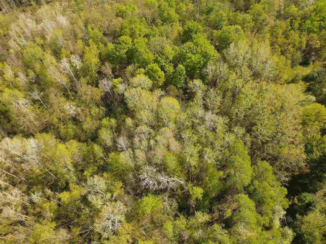 Tbd Mount Bliss Road East Jordan MI 49727