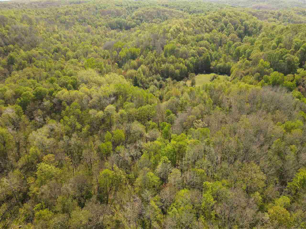 Tbd Mount Bliss Road East Jordan MI 49727