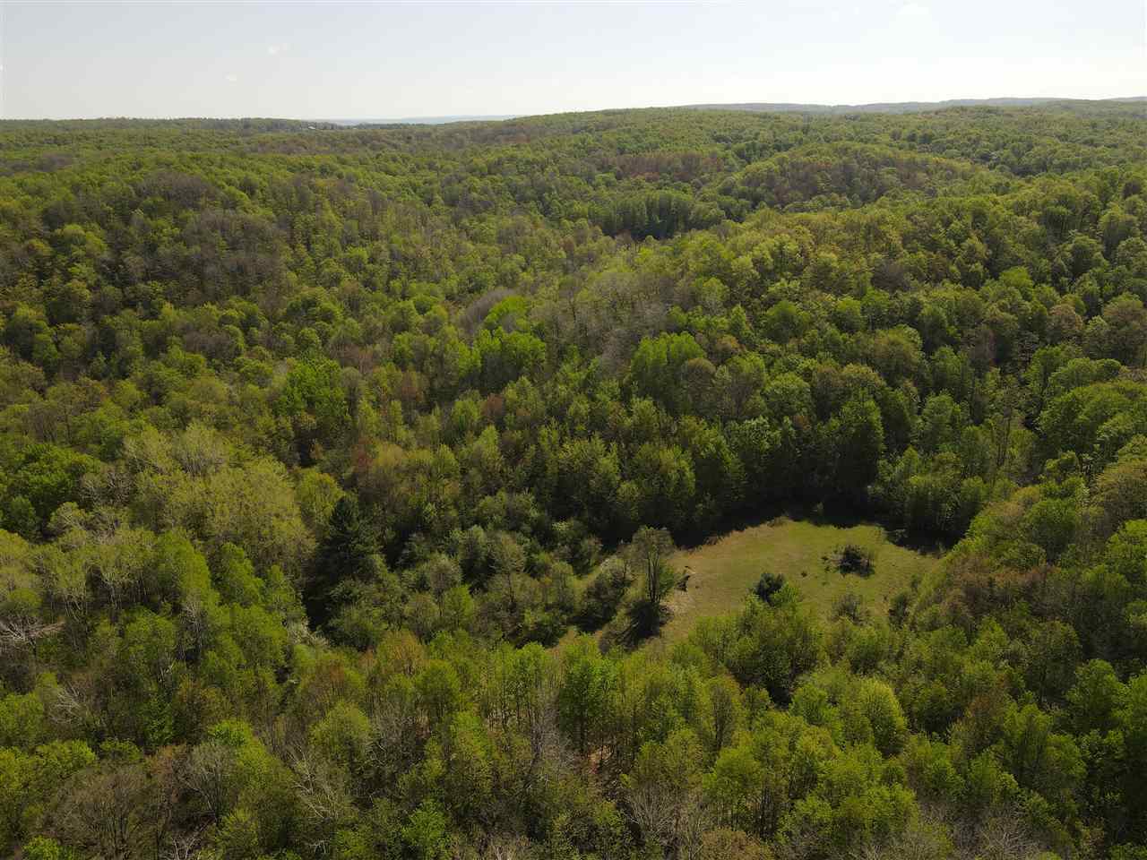 Tbd Mount Bliss Road East Jordan MI 49727