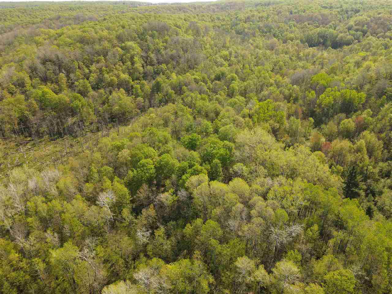 Tbd Mount Bliss Road East Jordan MI 49727