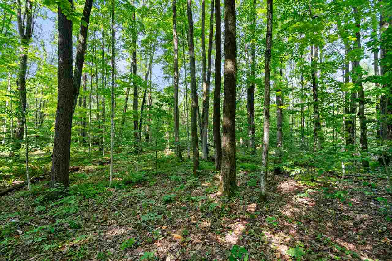 8719 Springridge Drive Petoskey MI 49770