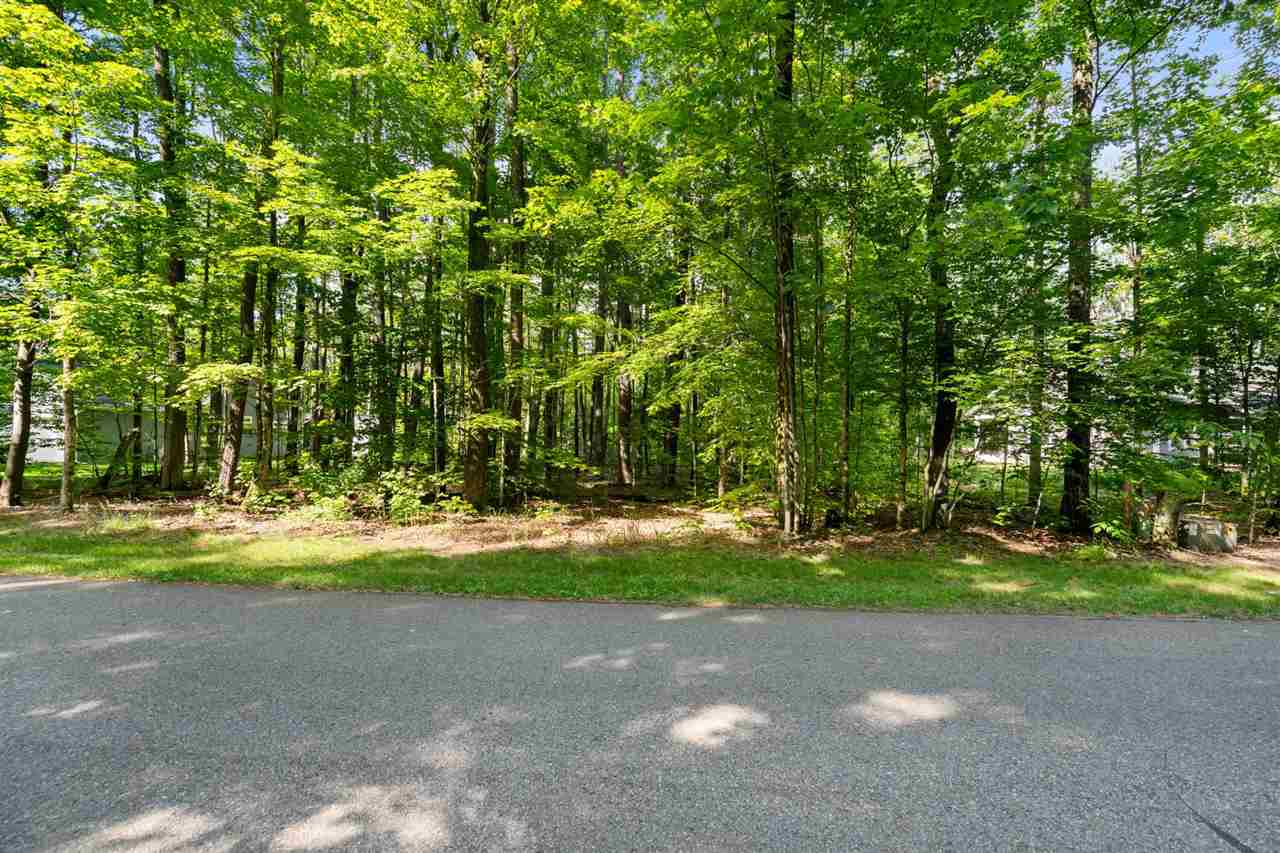 8719 Springridge Drive Petoskey MI 49770
