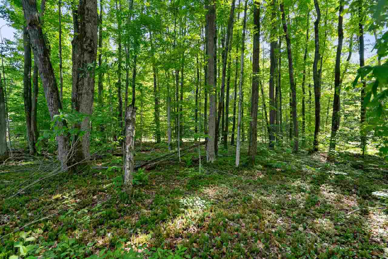 8719 Springridge Drive Petoskey MI 49770