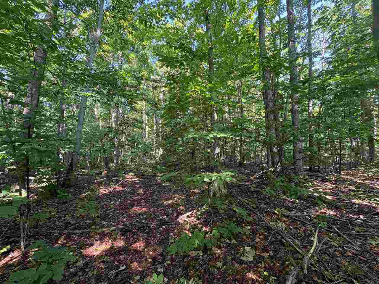 3443 Needles Drive Harbor Springs MI 49740