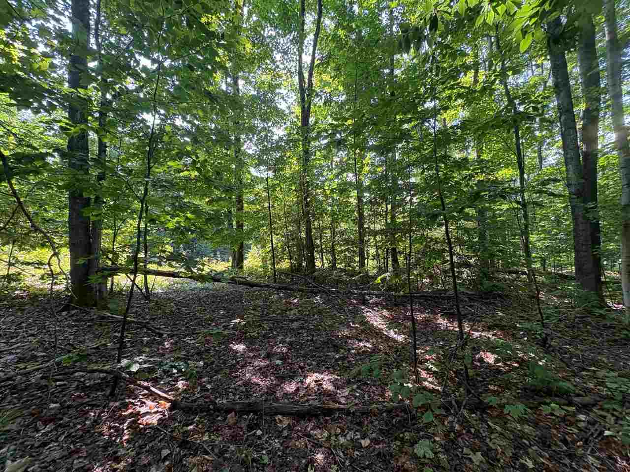 3443 Needles Drive Harbor Springs MI 49740