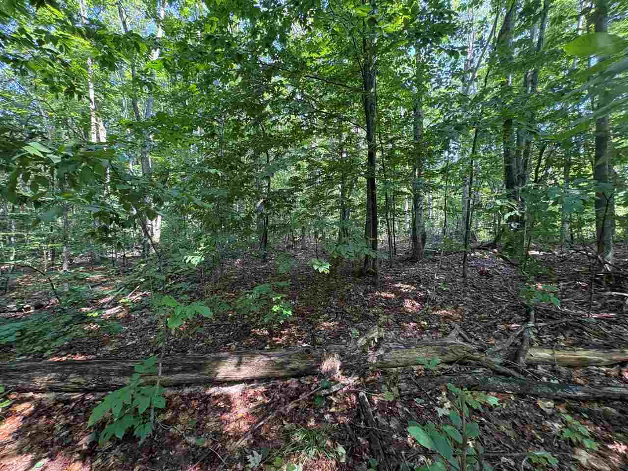 3443 Needles Drive Harbor Springs MI 49740