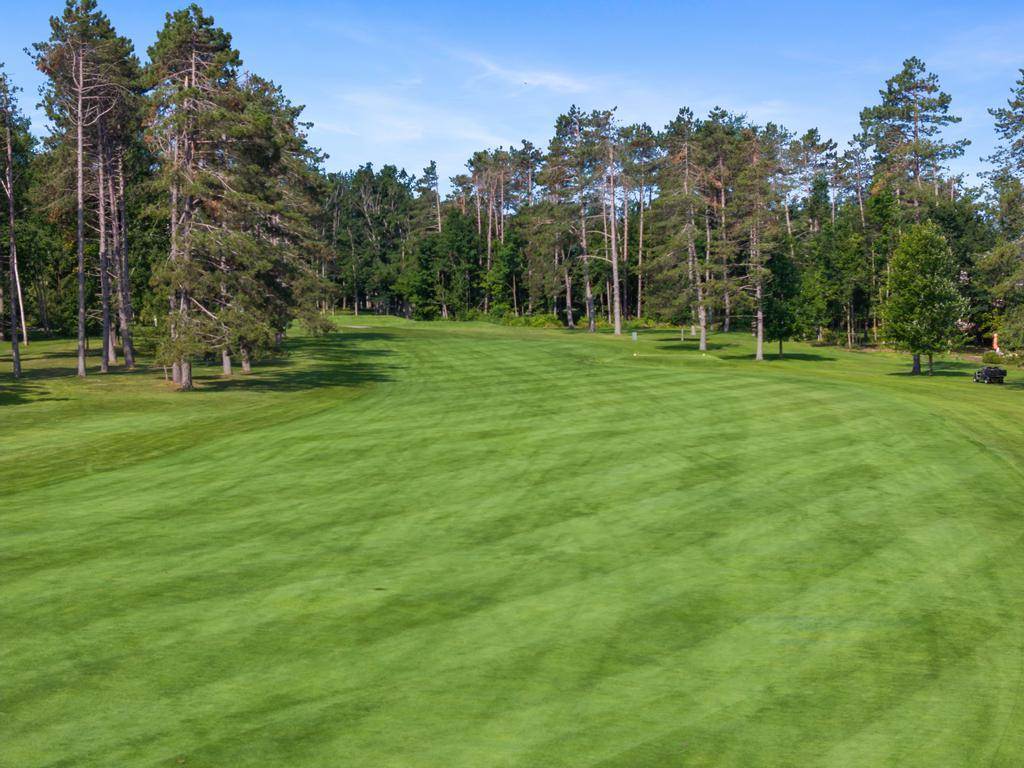 2807 Greenbriar Harbor Springs MI 49740