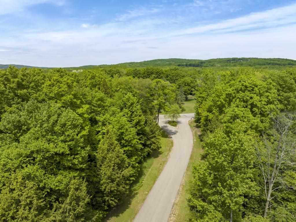 8409 Pleasantview Woods Drive Harbor Springs MI 49740