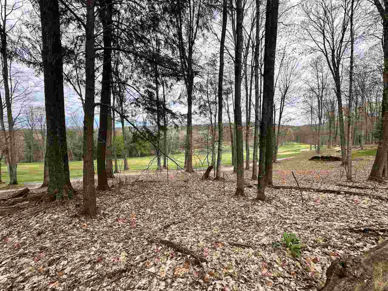 Unit 19 Forest Trail Bellaire MI 49615