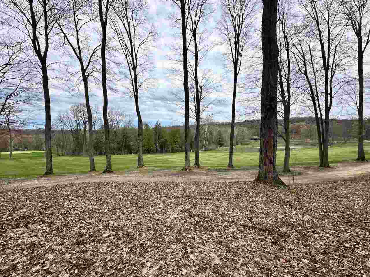 Unit 19 Forest Trail Bellaire MI 49615