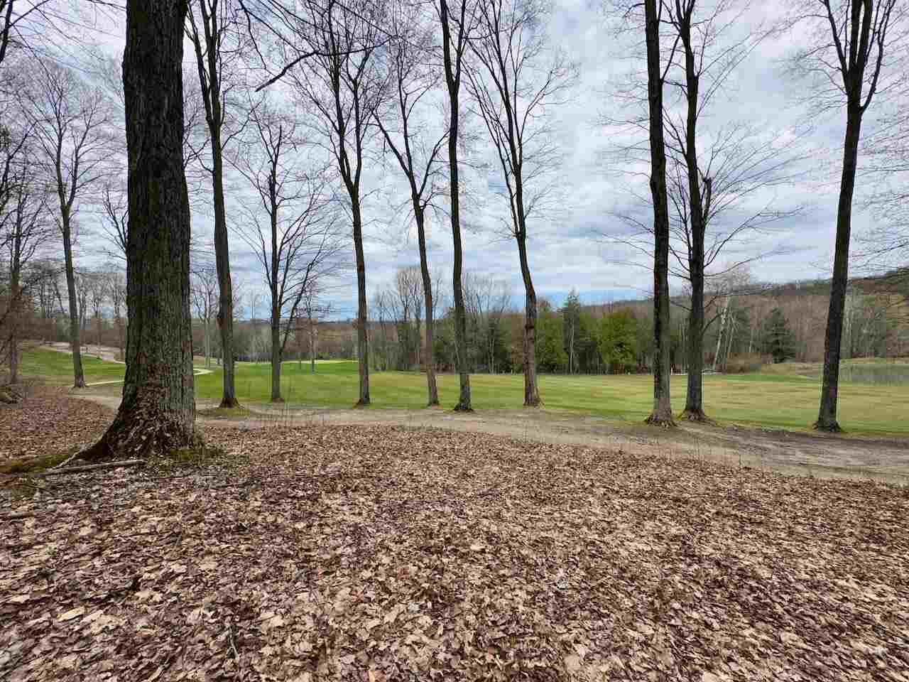 Unit 19 Forest Trail Bellaire MI 49615