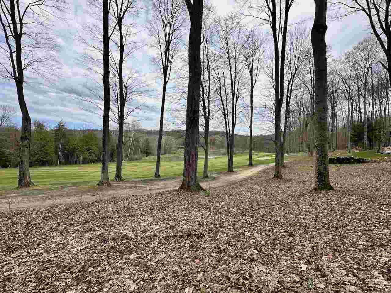 Unit 19 Forest Trail Bellaire MI 49615