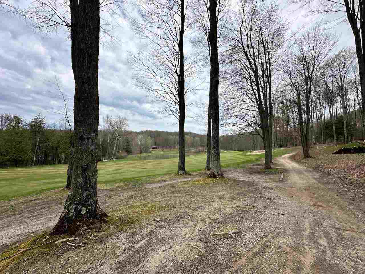 Unit 19 Forest Trail Bellaire MI 49615